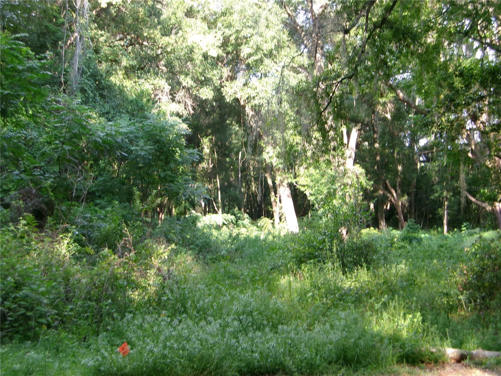 4th image of St Clair St, Wildwood, FL 34785 | MLS# G5115286