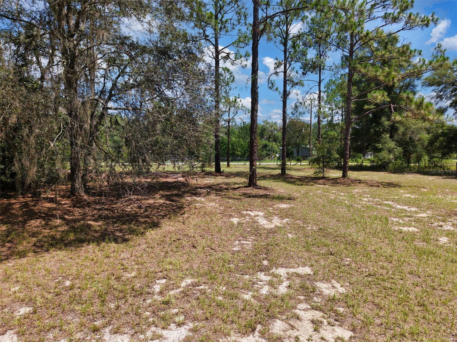 Homes for sale in Old Town, FL | 54 Ne 841St Ave, Old Town, FL 32680 | MLS# GC542083