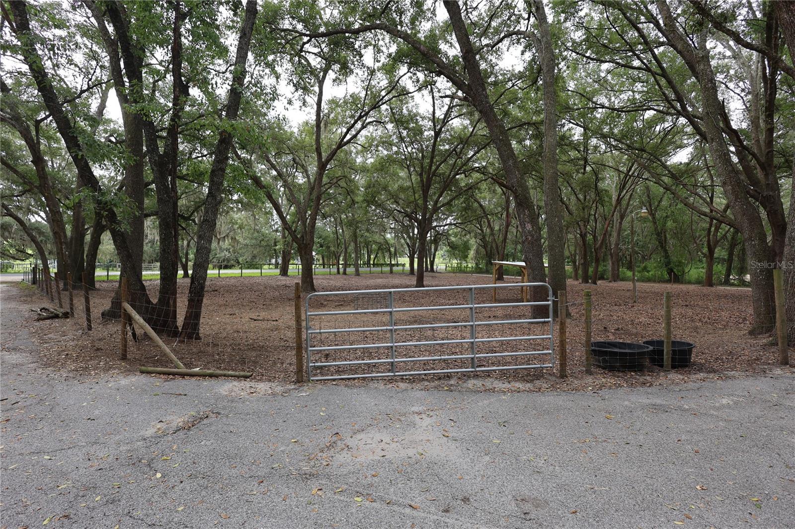 Homes for sale in Weirsdale, FL | 17120 Se 130Th Ave Ave, Weirsdale, FL 32195 | MLS# OM728803