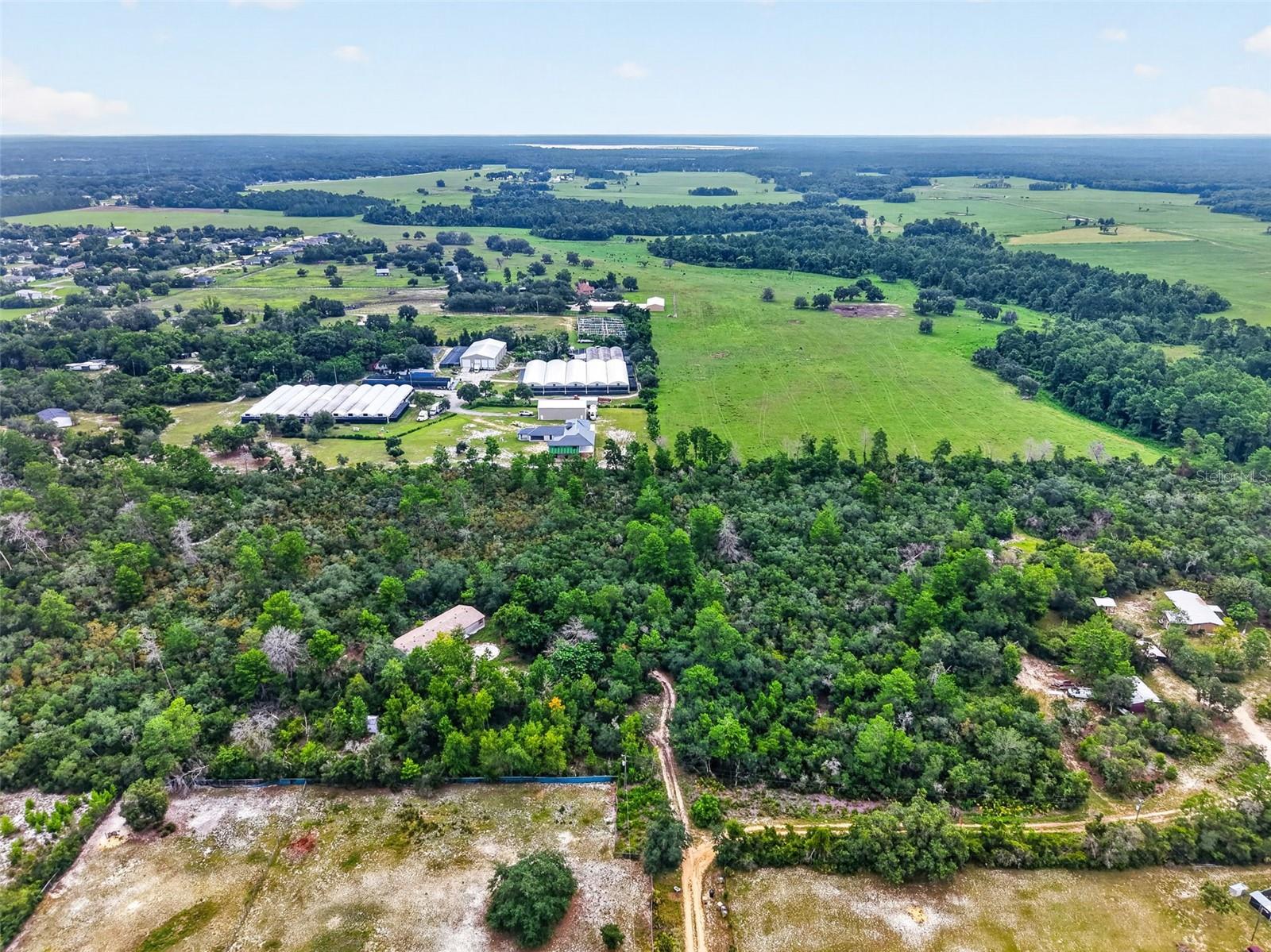 36th image of 20241 Saltsdale Rd, Umatilla, FL 32784 | MLS# G5115319