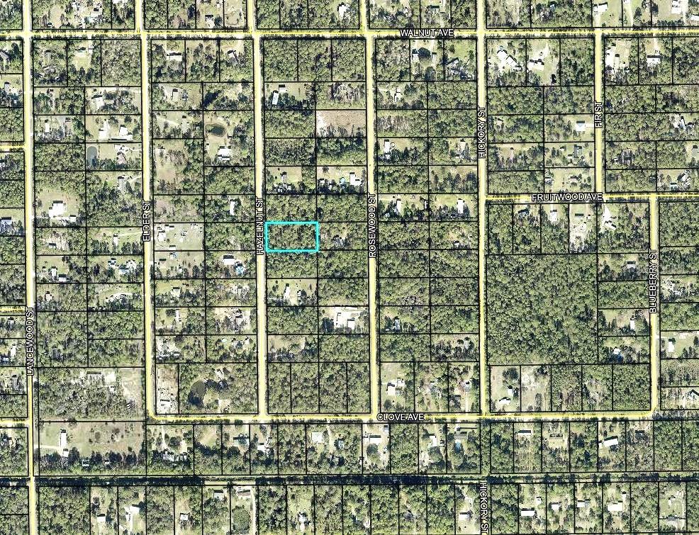 Homes for sale in Bunnell, FL | 2185 Hazelnut St, Bunnell, FL 32110 | MLS# FC320078
