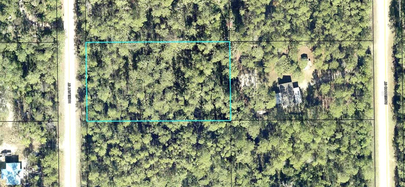 Homes for sale in Bunnell, FL | 2185 Hazelnut St, Bunnell, FL 32110 | MLS# FC320078