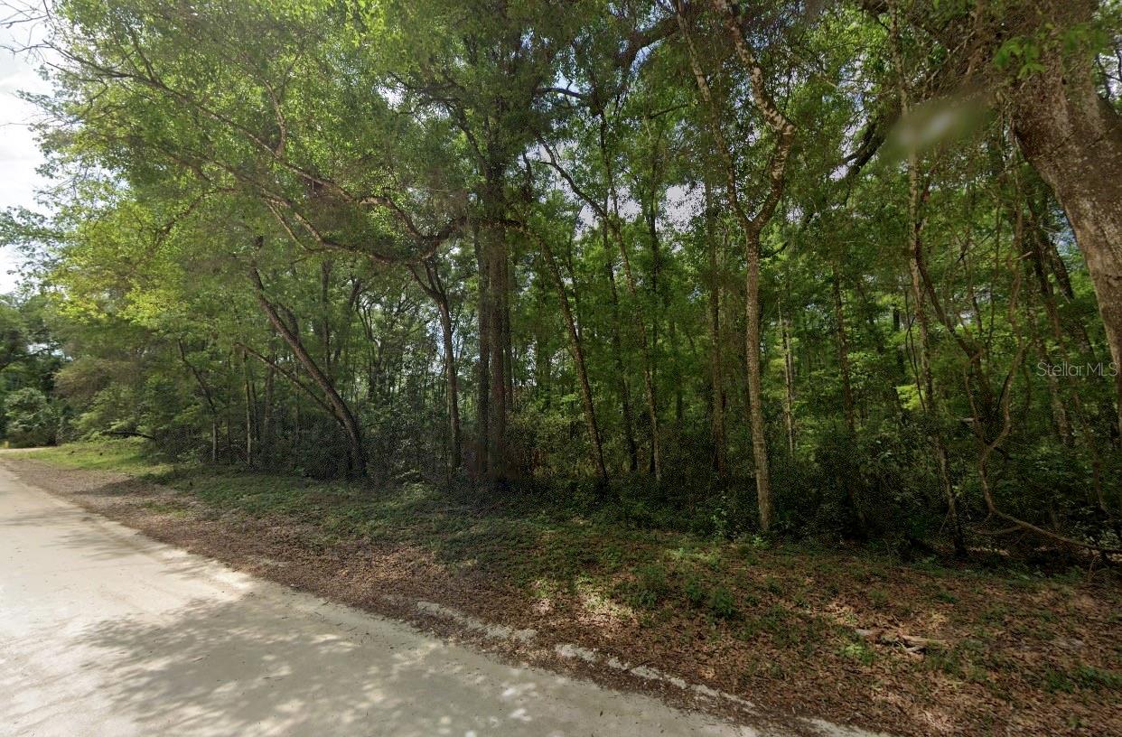 Homes for sale in Old Town, FL | 1200 Ne 644th St, Old Town, FL 32680 | MLS# A4700526