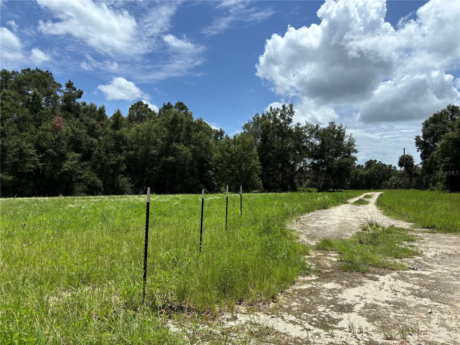 3rd image of Ne 23, Citra, FL 32113 | MLS# OM728839