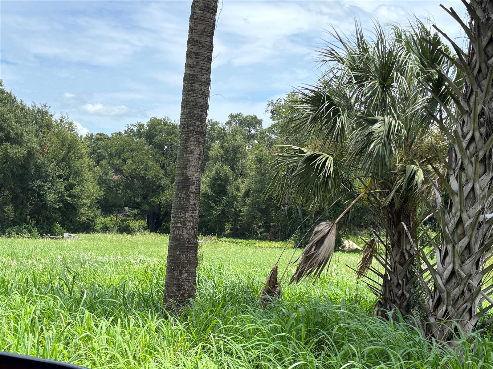 5th image of Ne 23, Citra, FL 32113 | MLS# OM728839