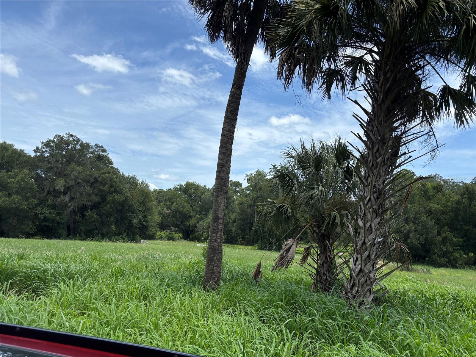 2nd image of Ne 23, Citra, FL 32113 | MLS# OM728839