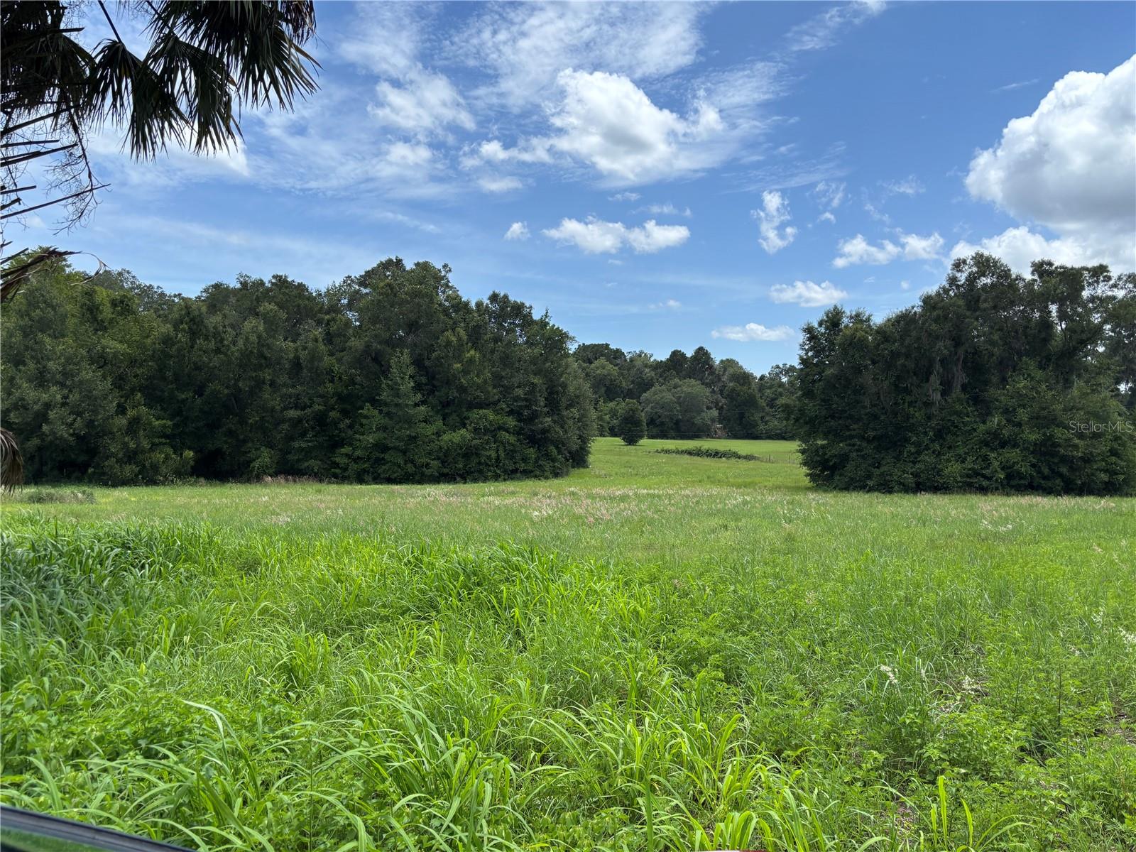1st image of Ne 23, Citra, FL 32113 | MLS# OM728839