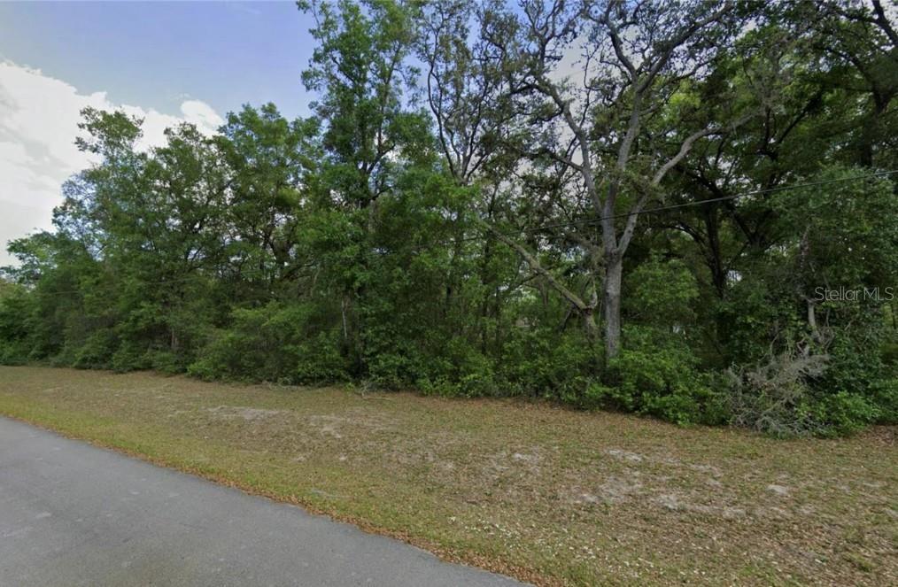 2nd image of 0 Se 59th Pl, Ocklawaha, FL 32179 | MLS# TB8531027