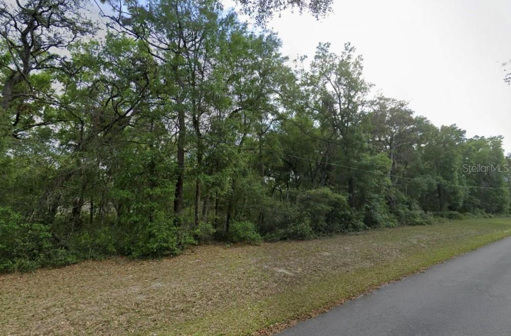 1st image of 0 Se 59th Pl, Ocklawaha, FL 32179 | MLS# TB8531027