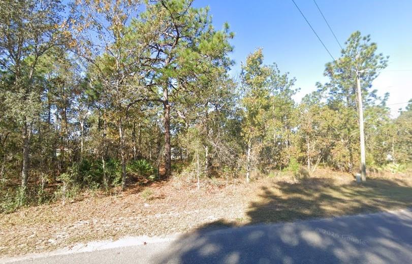 2nd image of 9037 1222 05, Ocklawaha, FL 32179 | MLS# TB8531047