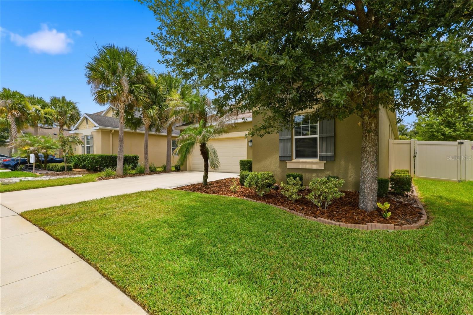 36th image of 27035 Carolina Aster Dr, Wesley Chapel, FL 33544 | MLS# TB8531092