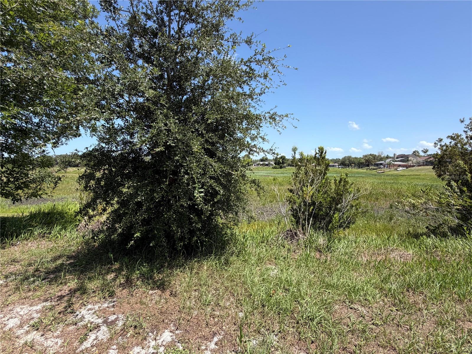 3rd image of 5540 Baffin Cir, Spring Hill, FL 34606 | MLS# TB8531116