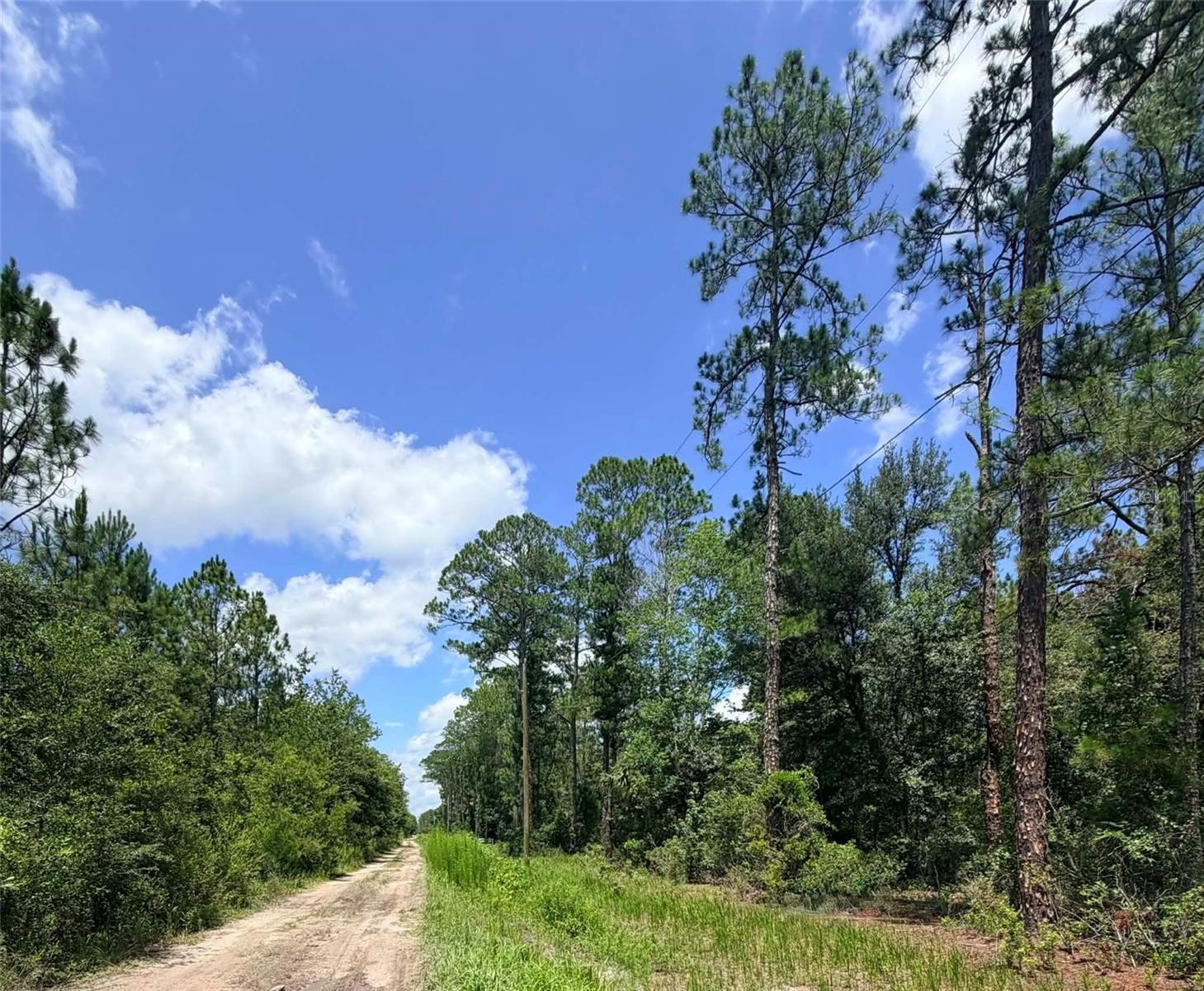 3rd image of 0 Ne 132Nd Pl, Citra, FL 32113 | MLS# OM728886