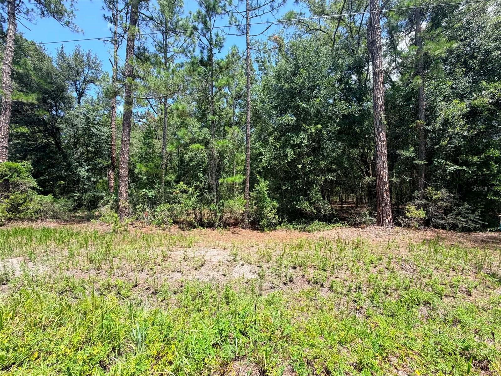 1st image of 0 Ne 132nd Pl, Citra, FL 32113 | MLS# OM728886