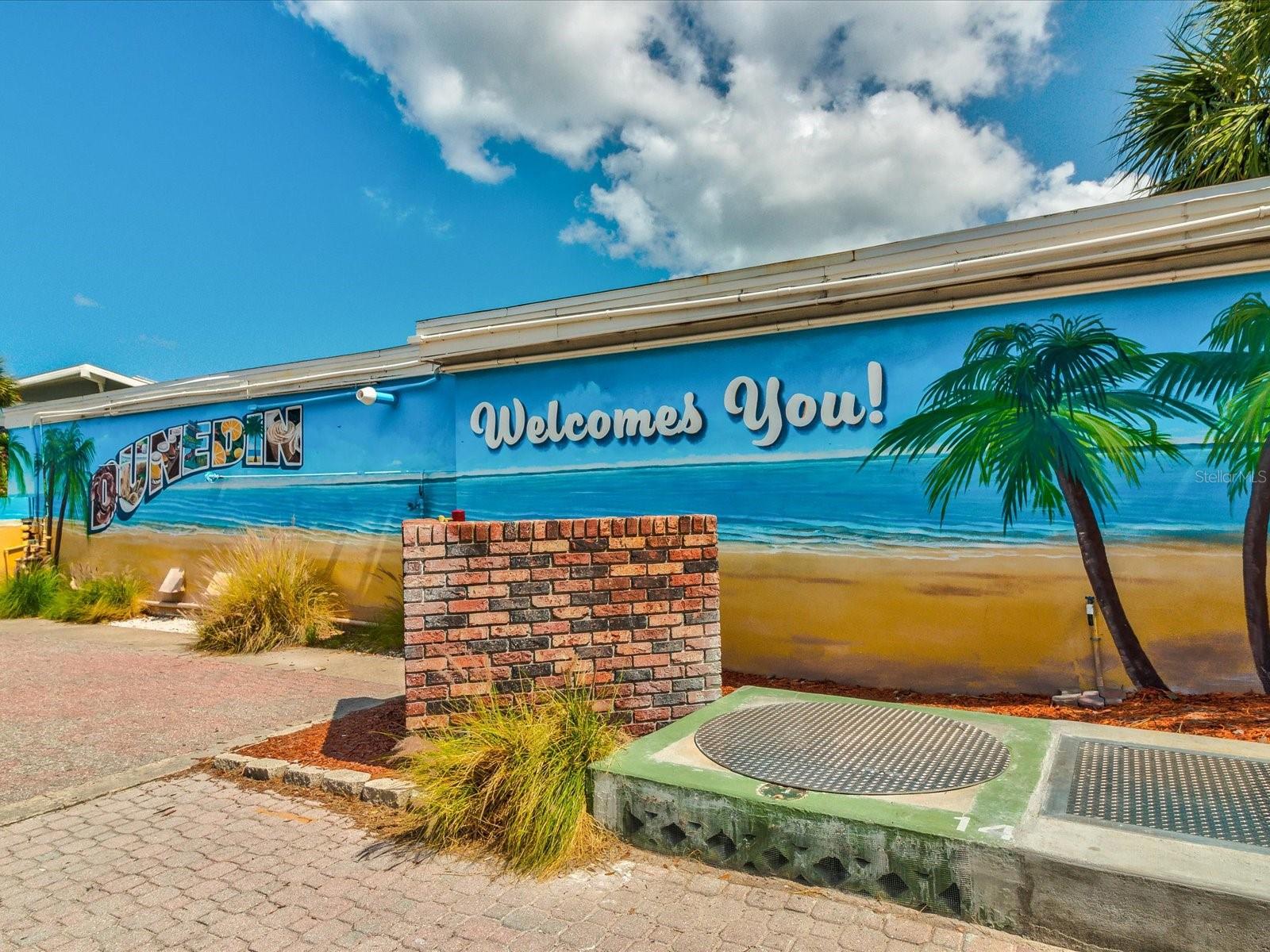 48th image of 1081 Mcfarland St, Dunedin, FL 34698 | MLS# TB8531185