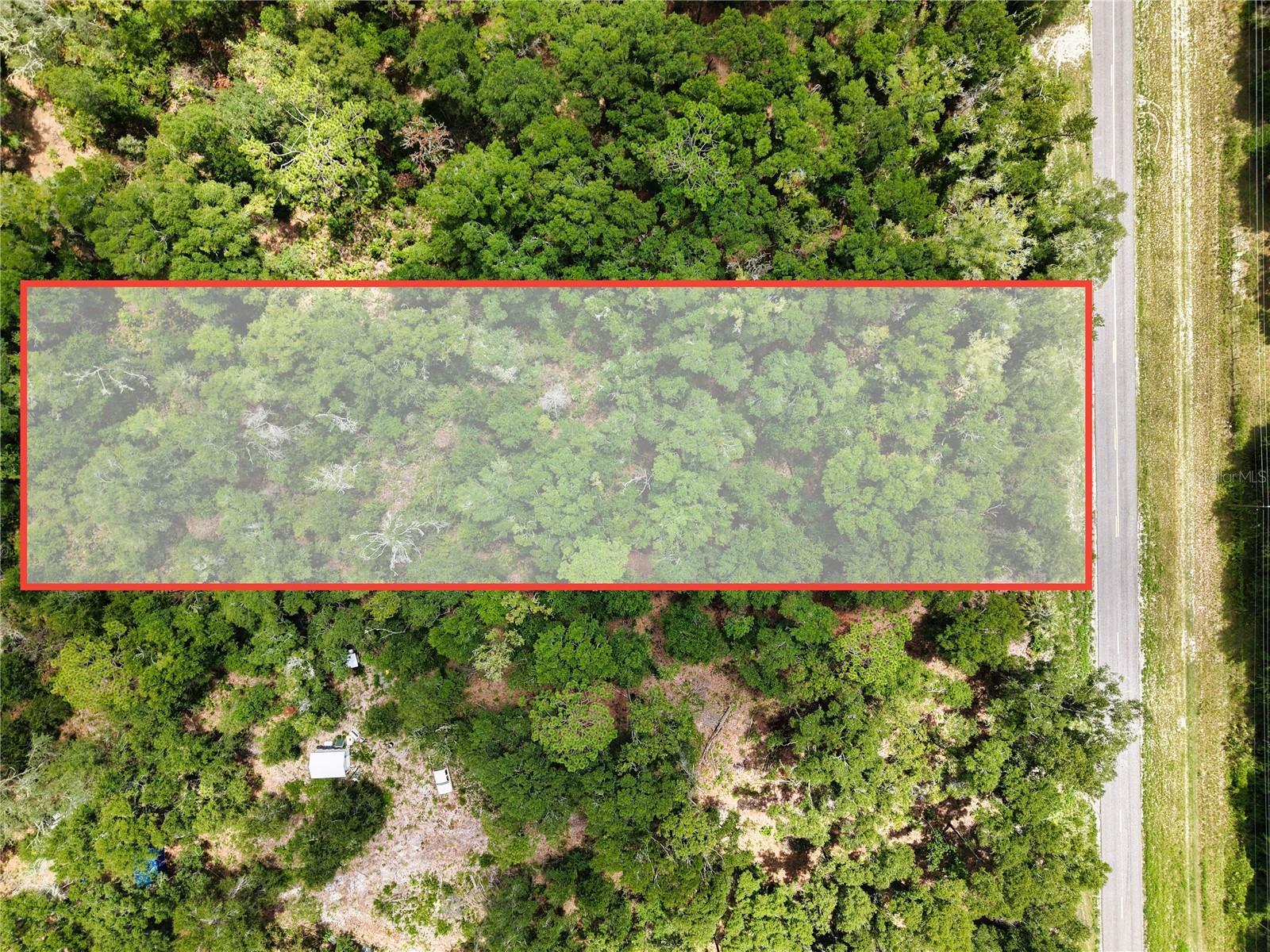Homes for sale in Old Town, FL | 000 Ne 410th Ave, Old Town, FL 32680 | MLS# TB8531229