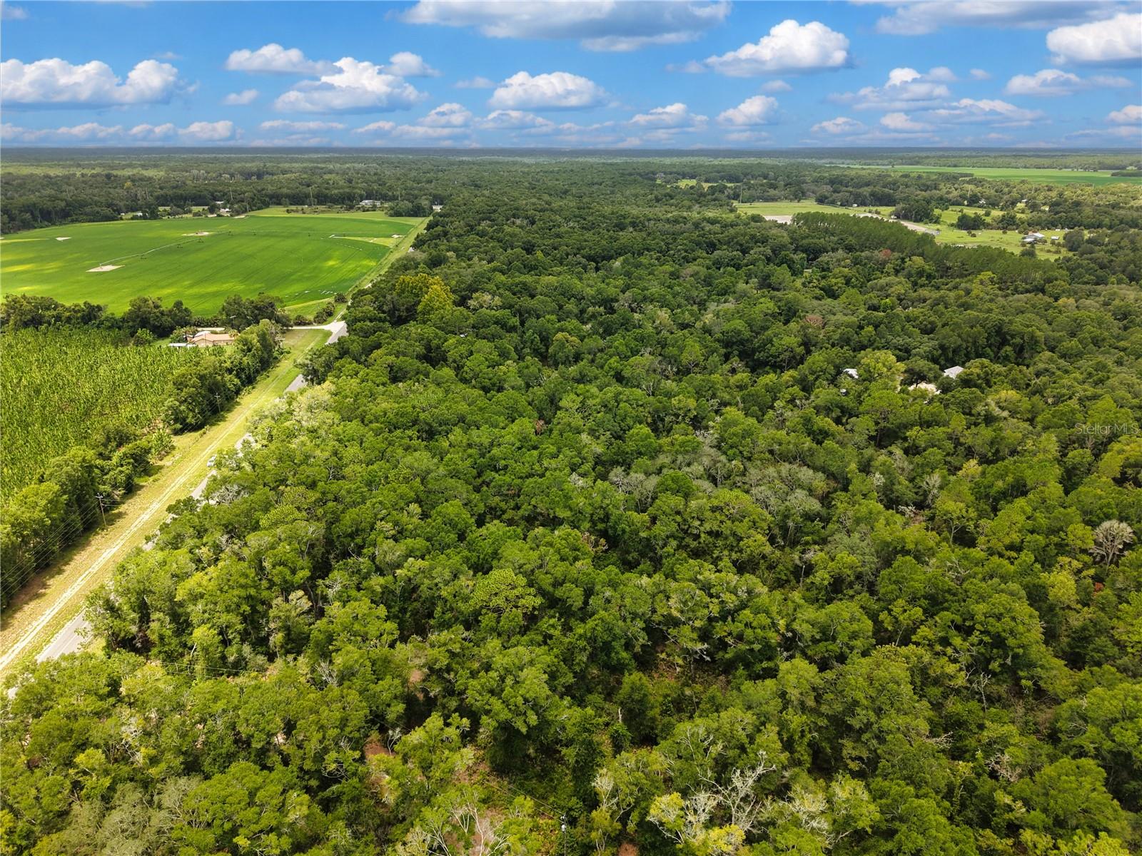 Homes for sale in Old Town, FL | 000 Ne 410Th Ave, Old Town, FL 32680 | MLS# TB8531229