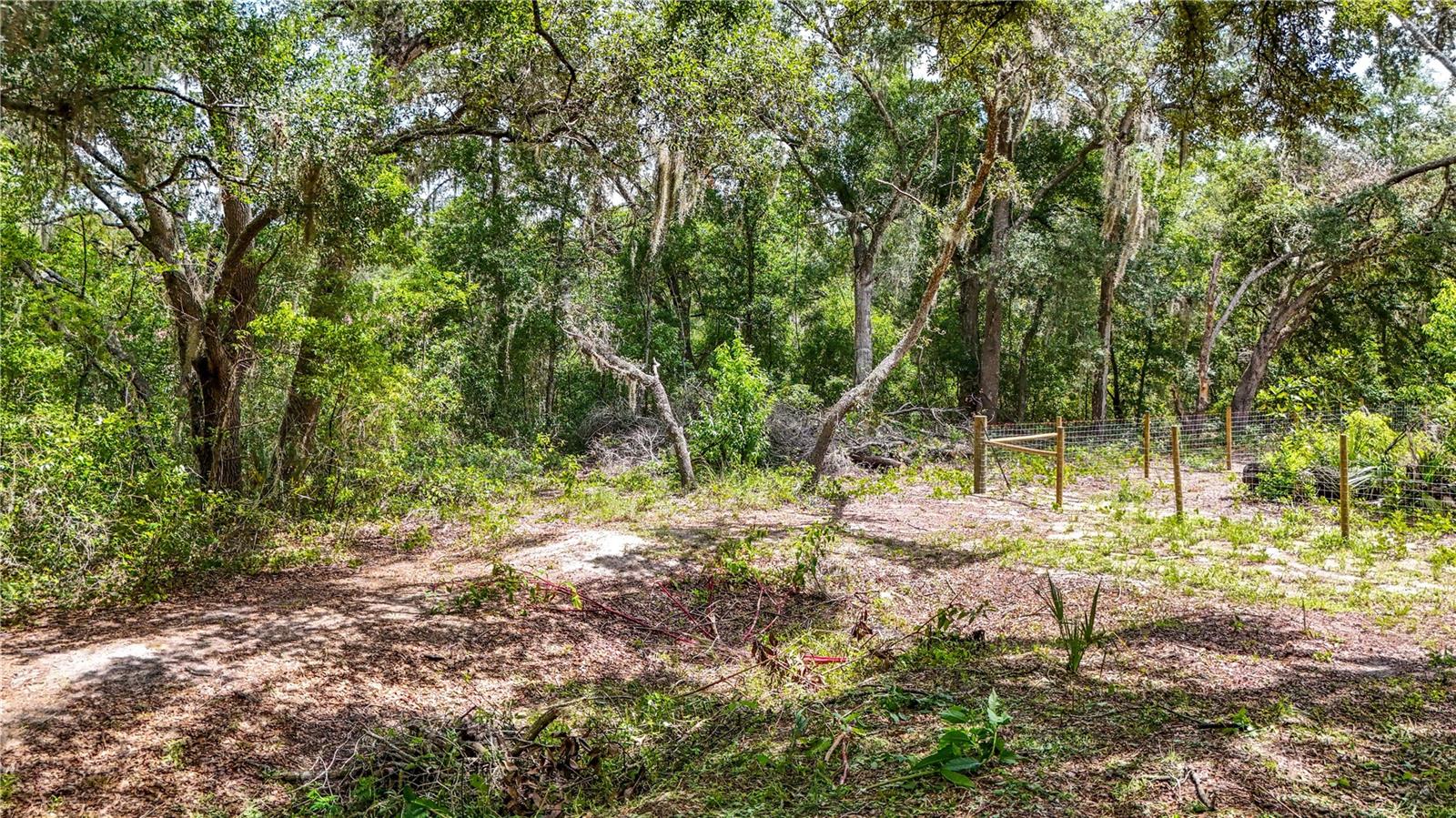 42nd image of 24307 Adair Avenue, Sorrento, FL 32776 | MLS# G5115385