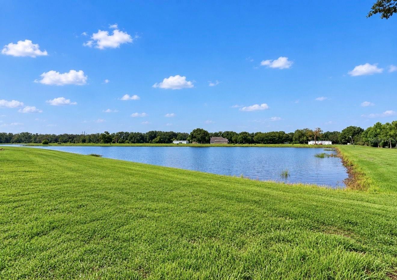 48th image of 14403 Woodland Spur Dr, Lithia, FL 33547 | MLS# TB8531550