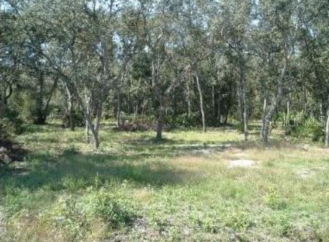 Homes for sale in Old Town, FL | 413 Ne 808th St, Old Town, FL 32680 | MLS# O6427239