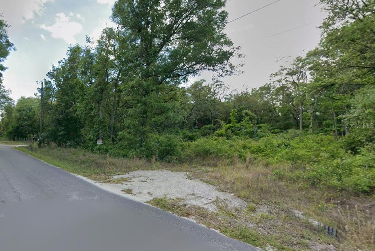 Homes for sale in Old Town, FL | 413 Ne 808Th St, Old Town, FL 32680 | MLS# O6427239