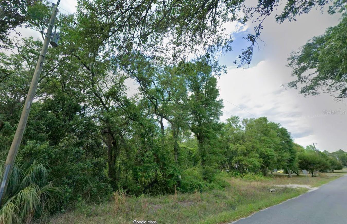 Homes for sale in Old Town, FL | 413 Ne 808Th St, Old Town, FL 32680 | MLS# O6427239