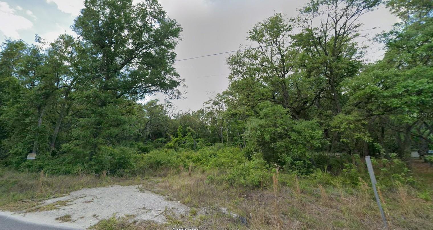 Homes for sale in Old Town, FL | 413 Ne 808Th St, Old Town, FL 32680 | MLS# O6427239