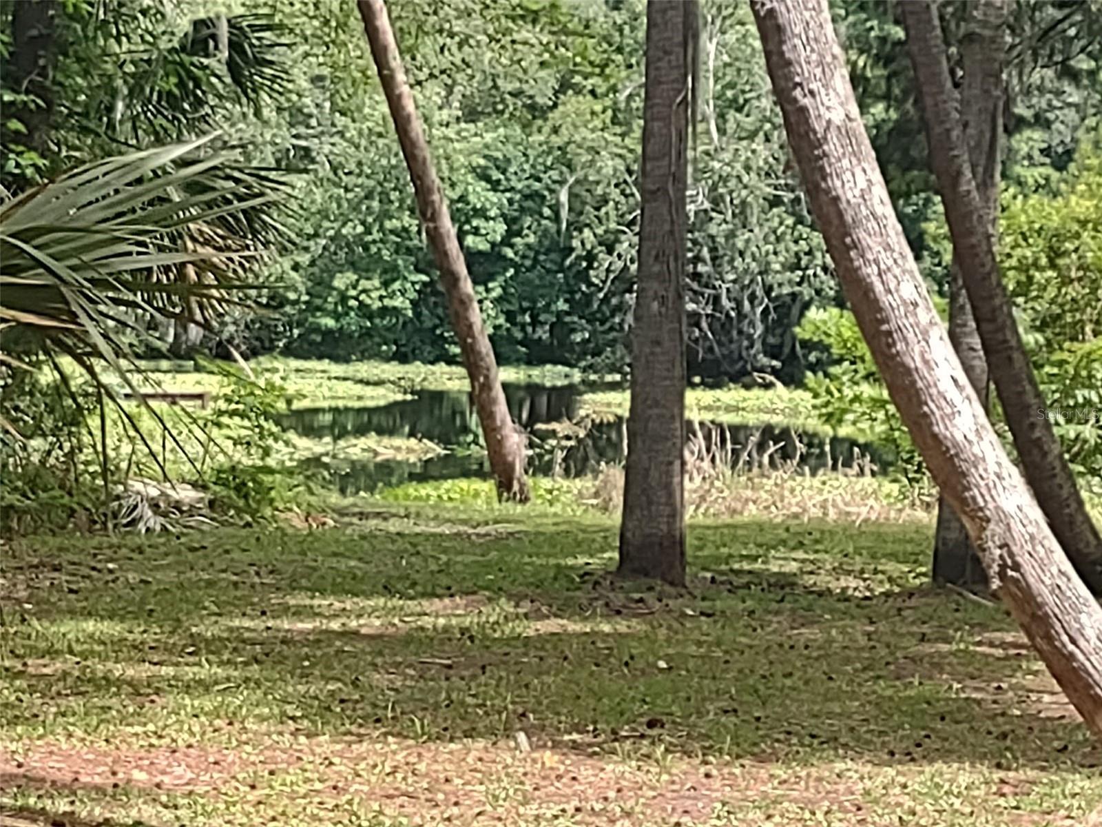 2nd image of 56508 Blue Creek Rd, Astor, FL 32102 | MLS# O6427247