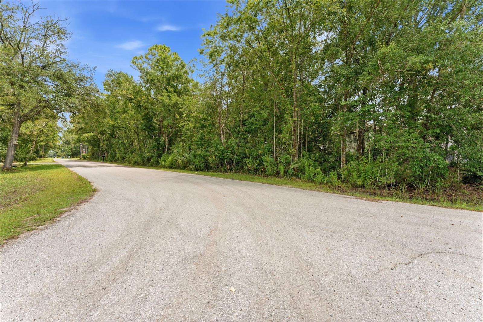 4th image of Raven Brook Rd, Wesley Chapel, FL 33544 | MLS# TB8531702