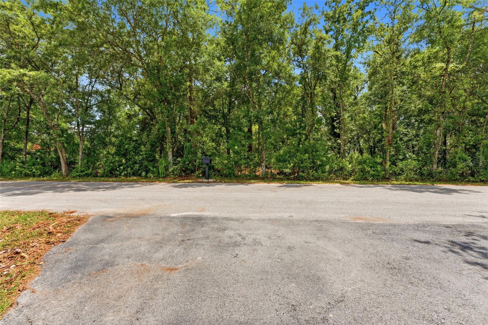 9th image of Raven Brook Rd, Wesley Chapel, FL 33544 | MLS# TB8531702
