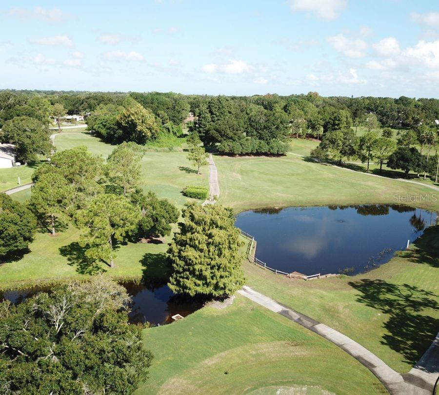 25th image of 2297 Lark Cir E #C, Palm Harbor, FL 34684 | MLS# TB8531851