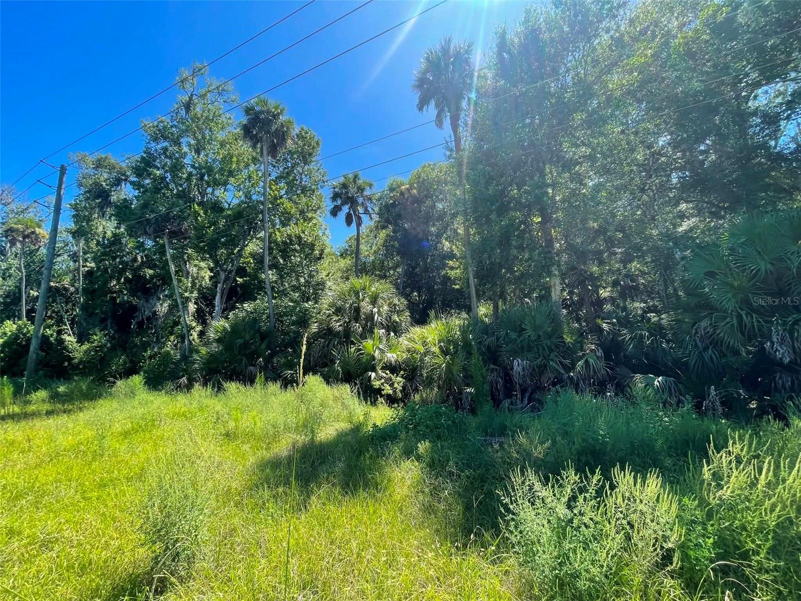 2nd image of Old Mission Rd, New Smyrna Beach, FL 32168 | MLS# NS1088800