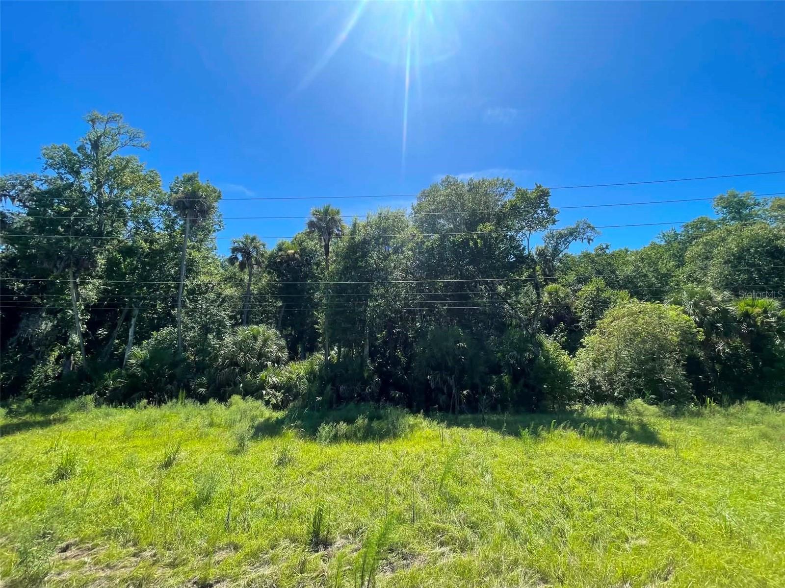 4th image of Old Mission Rd, New Smyrna Beach, FL 32168 | MLS# NS1088800