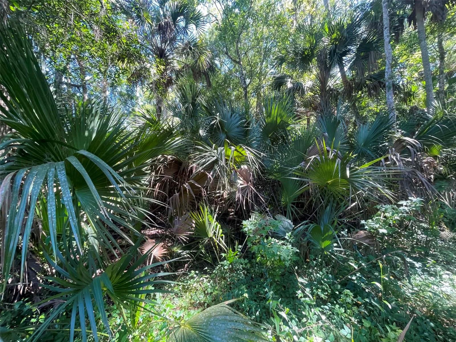 17th image of Old Mission Rd, New Smyrna Beach, FL 32168 | MLS# NS1088800