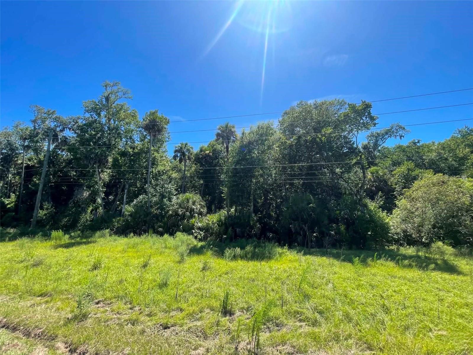 5th image of Old Mission Rd, New Smyrna Beach, FL 32168 | MLS# NS1088800