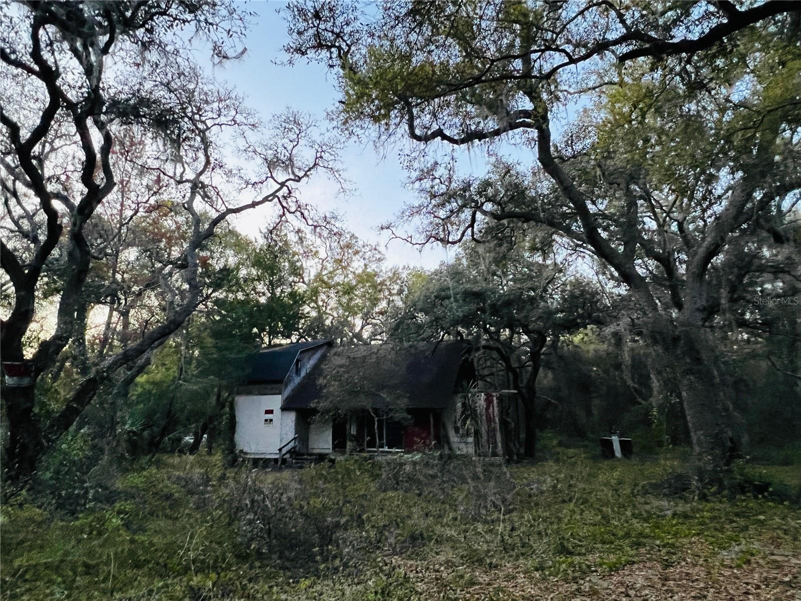 11th image of 19435 Se 92nd Pl, Ocklawaha, FL 32179 | MLS# O6427491