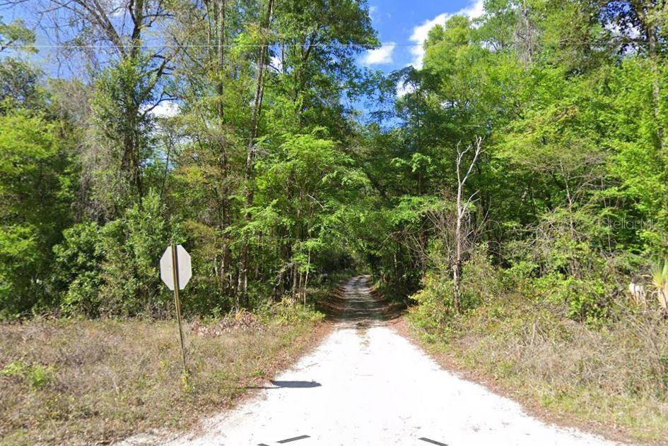 Homes for sale in Old Town, FL | 676th Lane, Old Town, FL 32680 | MLS# A4700833