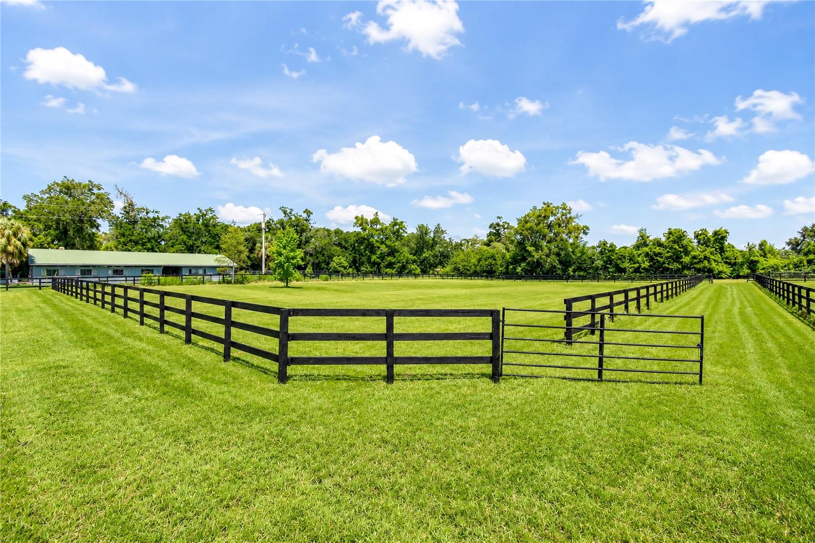26th image of Tbd Nw 100th Ave, Ocala, FL 34482 | MLS# OM729044
