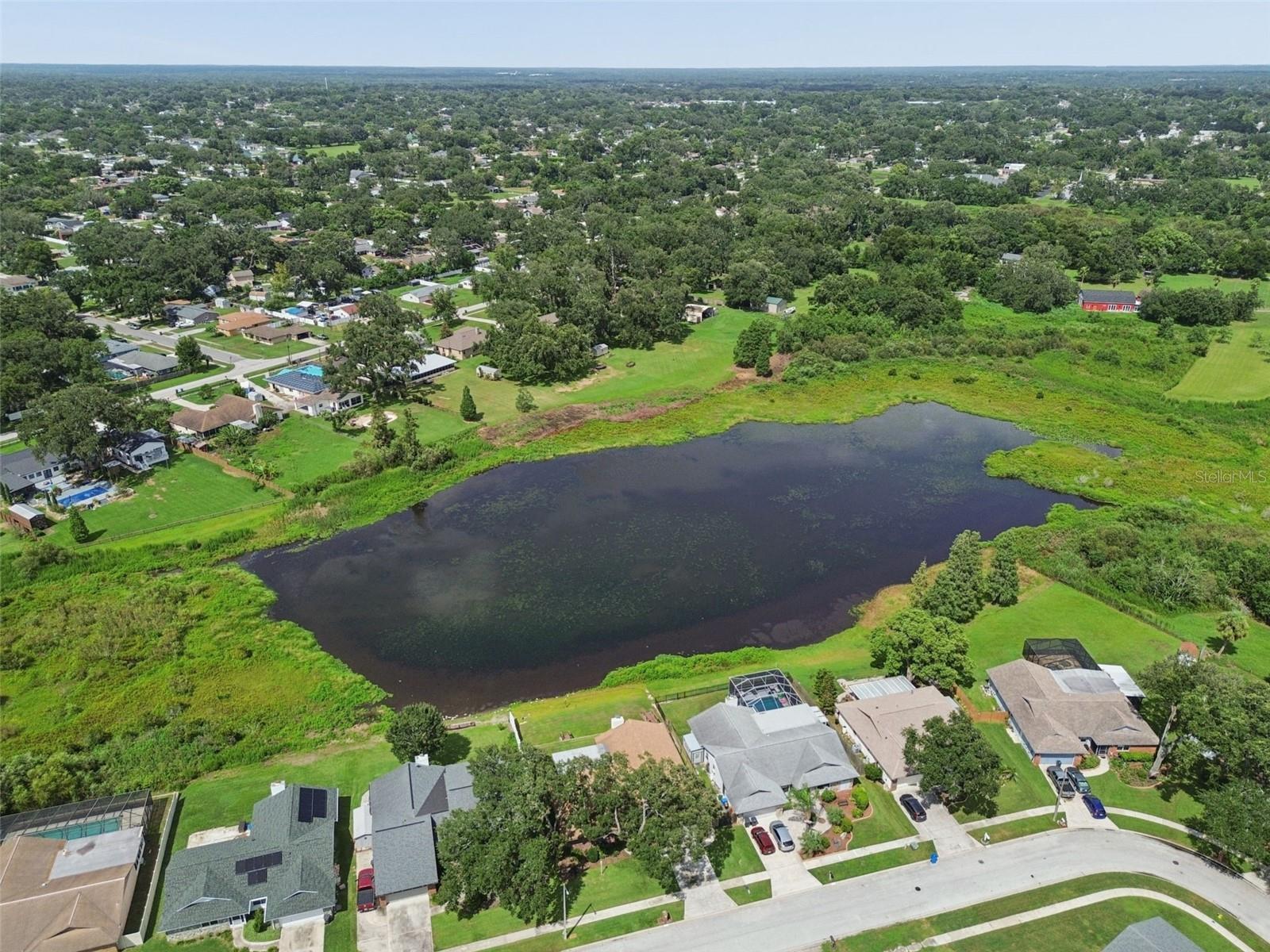 72nd image of 653 Timber Pond Dr, Brandon, FL 33510 | MLS# TB8532078