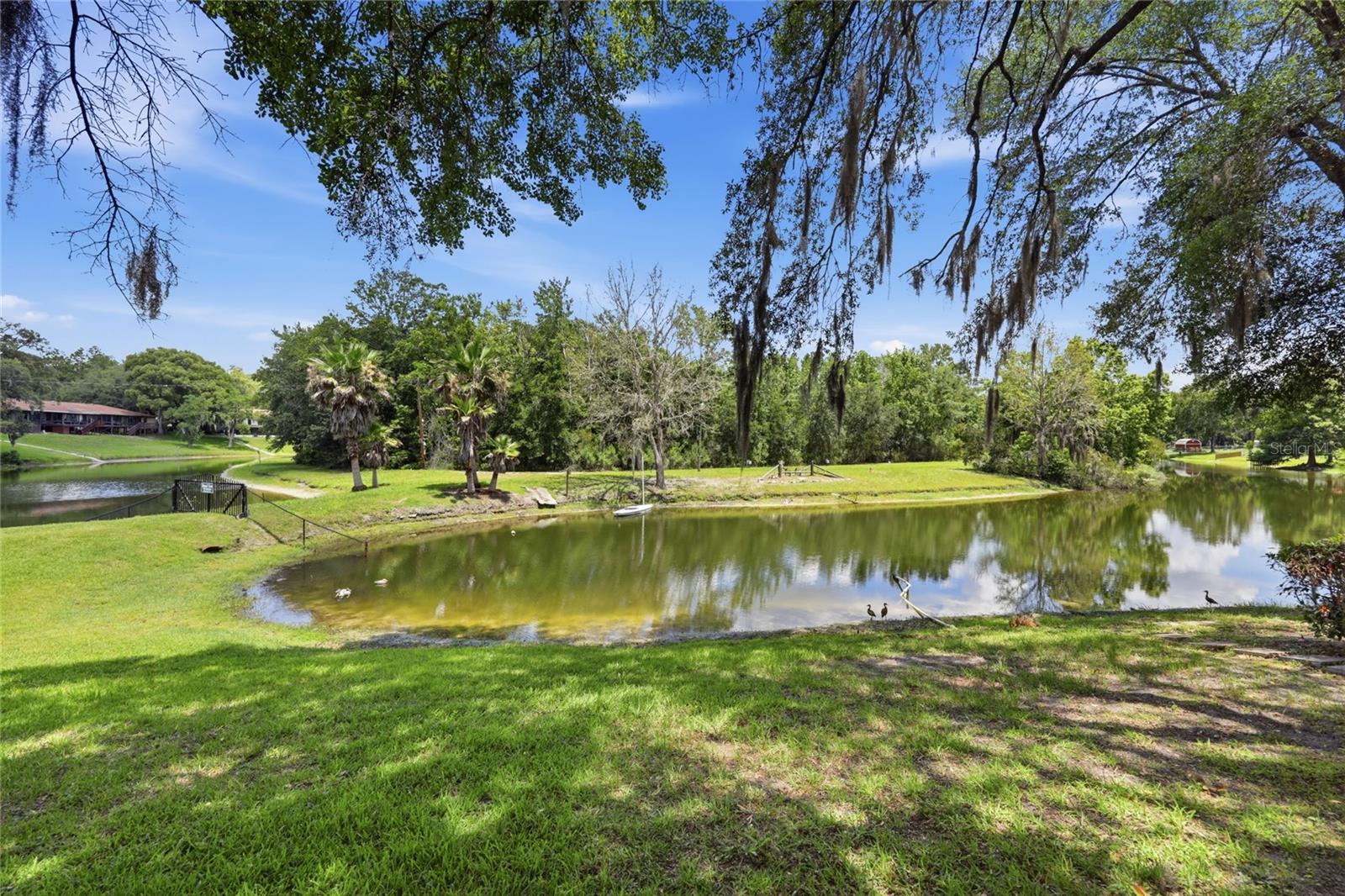 58th image of 561 Se 28th St, Melrose, FL 32666 | MLS# GC542185
