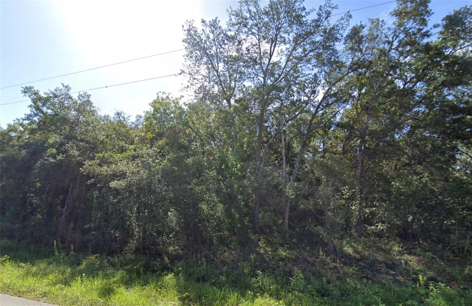 5th image of 0 Akins Dr, Spring Hill, FL 34610 | MLS# W7887929