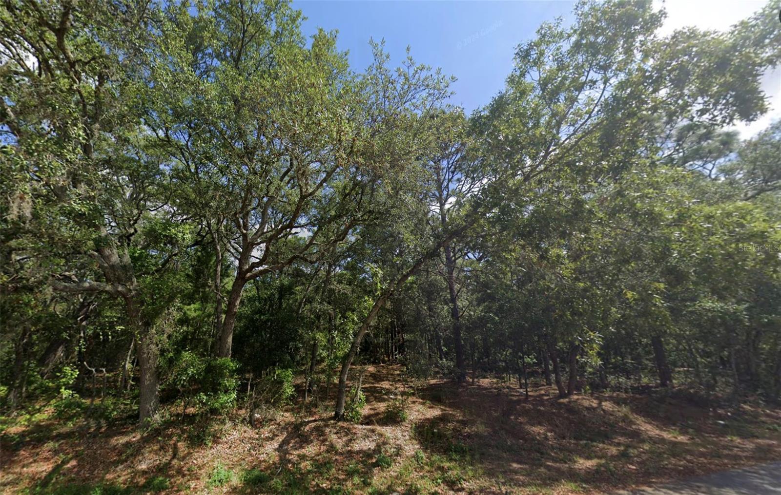 4th image of 0 Todd Trl, Spring Hill, FL 34610 | MLS# W7887933