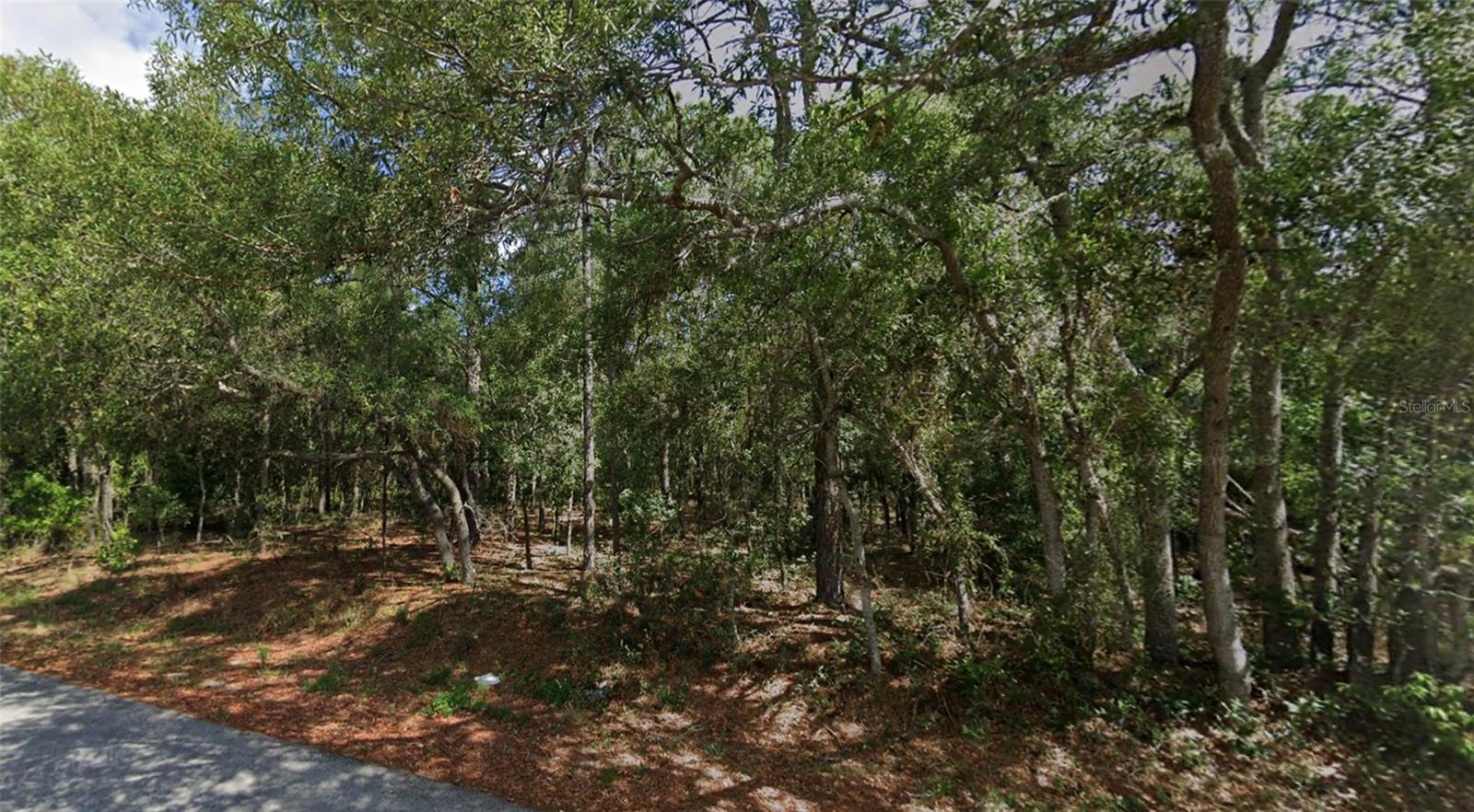 3rd image of 0 Todd Trl, Spring Hill, FL 34610 | MLS# W7887933