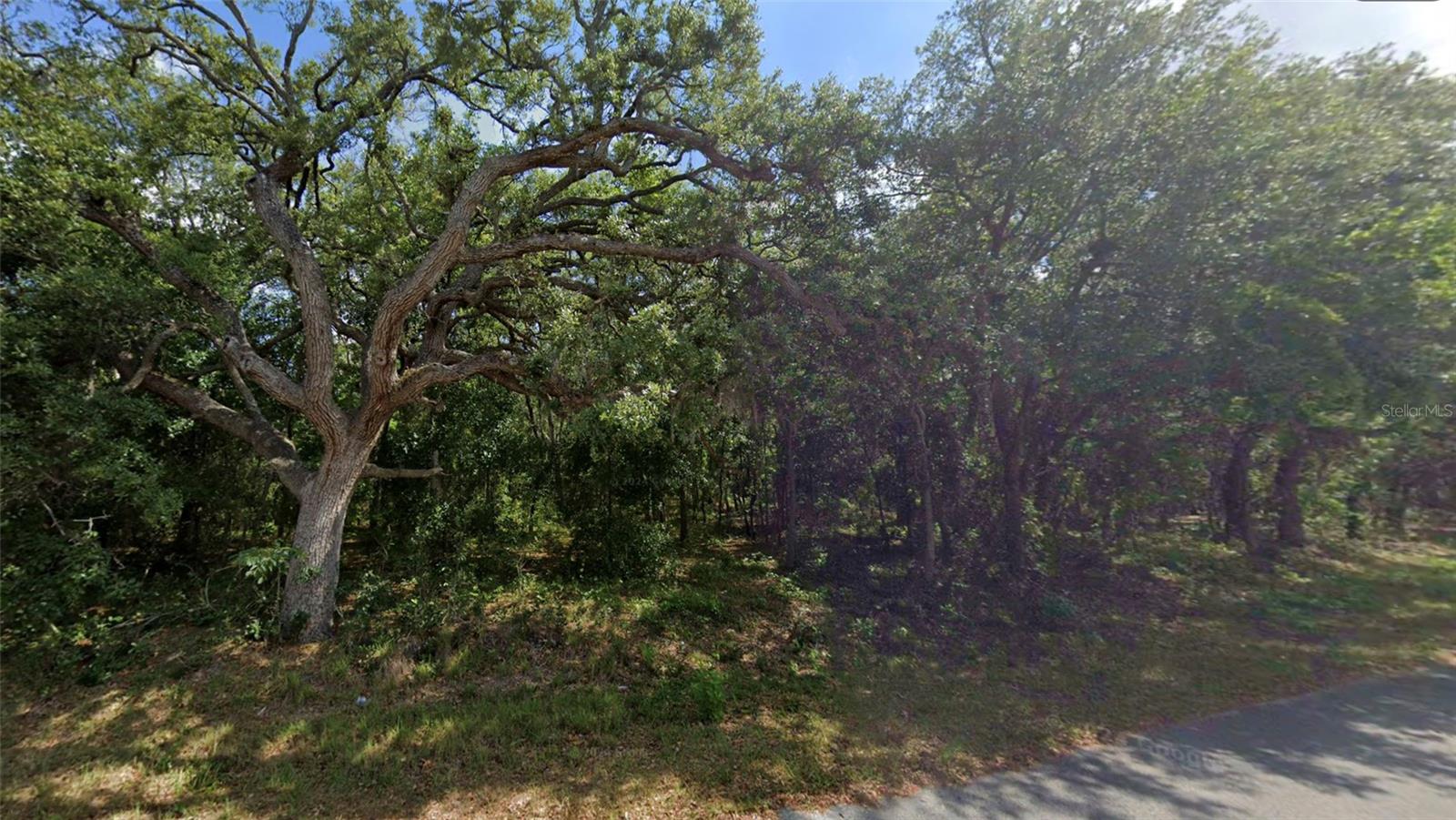 5th image of 0 Todd Trl, Spring Hill, FL 34610 | MLS# W7887933
