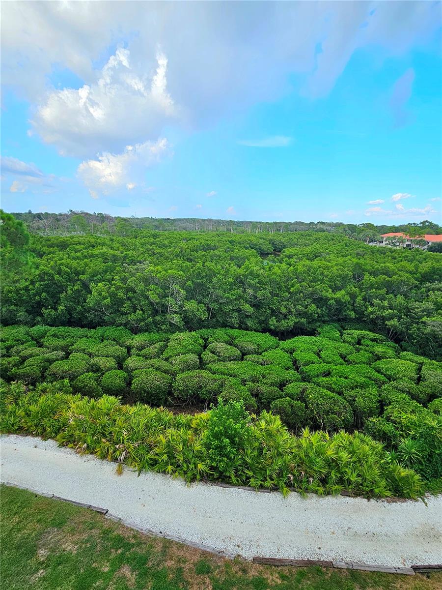2nd image of 243 Mariner Dr, TARPON SPRINGS, FL 34689