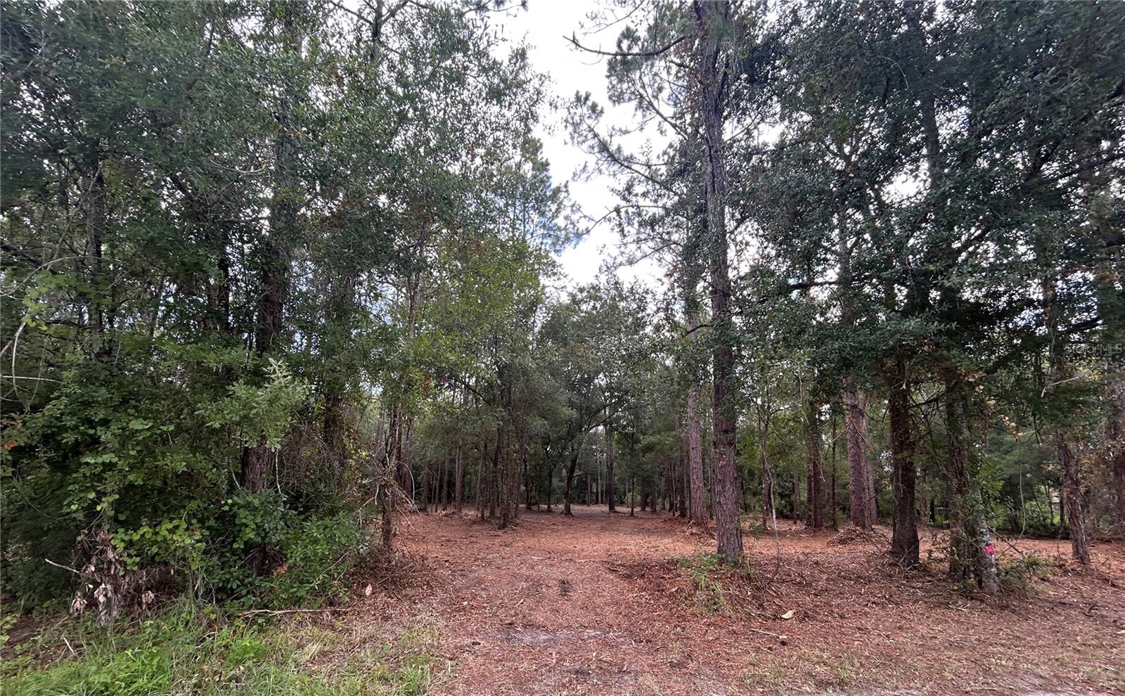 2nd image of Westpoint Dr, Wesley Chapel, FL 33544 | MLS# TB8532288