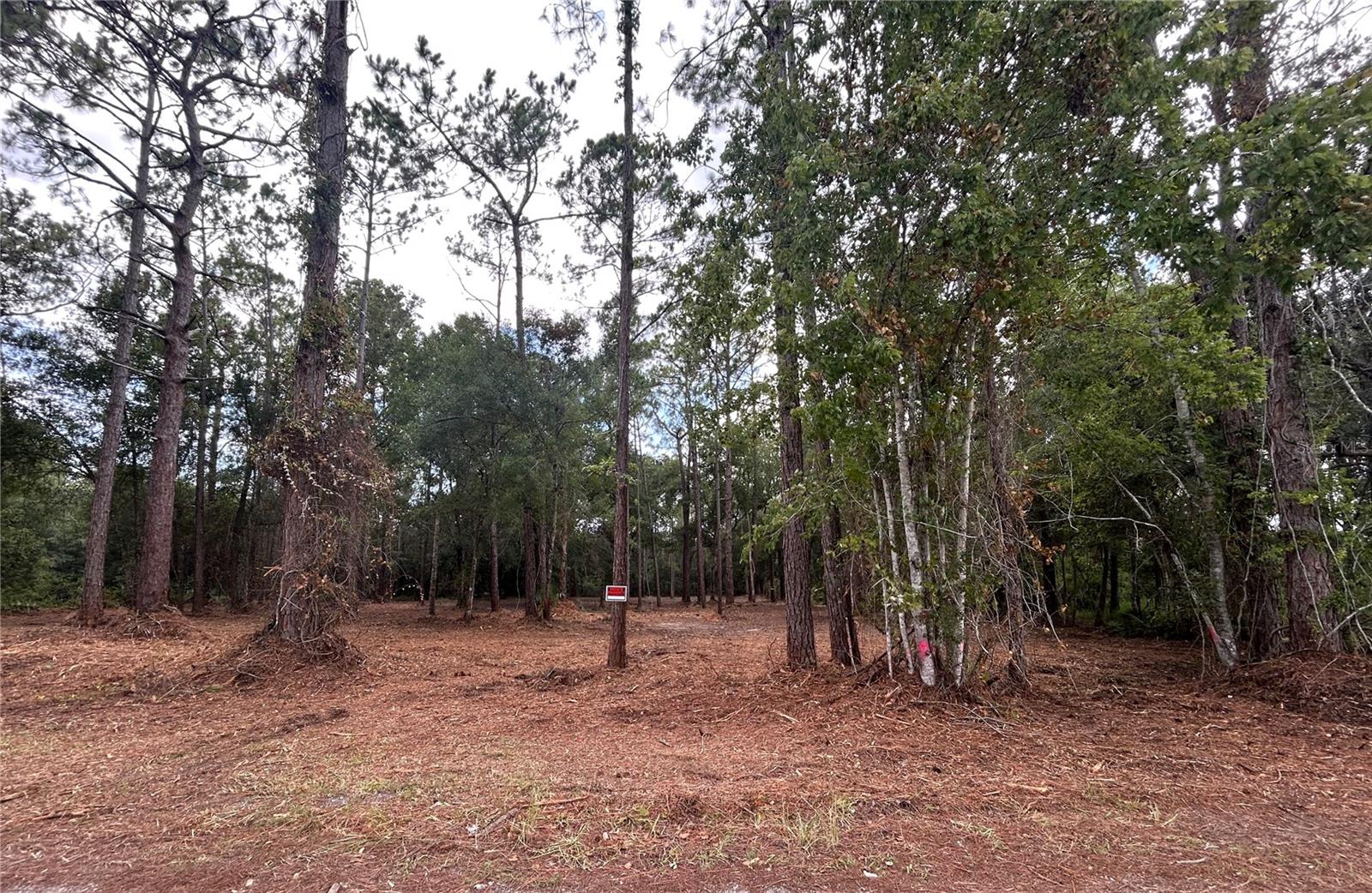 3rd image of Westpoint Dr, Wesley Chapel, FL 33544 | MLS# TB8532288