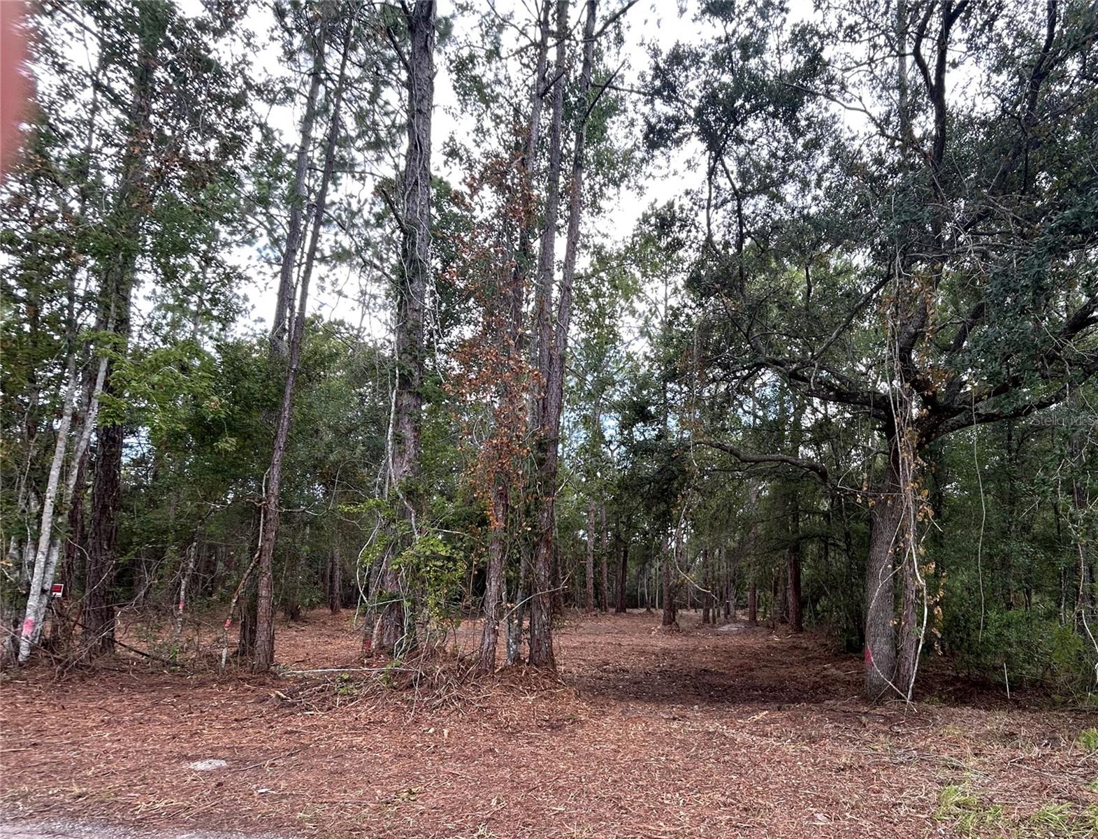 4th image of Westpoint Dr, Wesley Chapel, FL 33544 | MLS# TB8532288