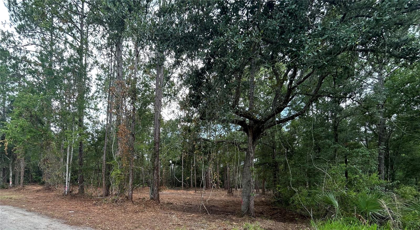 5th image of Westpoint Dr, Wesley Chapel, FL 33544 | MLS# TB8532288