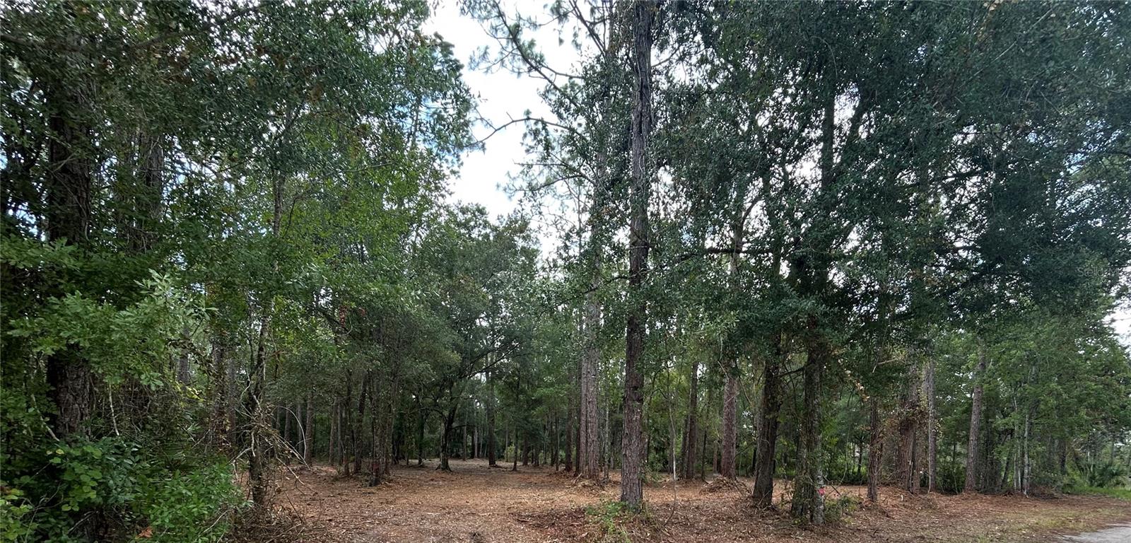 1st image of Westpoint Dr, Wesley Chapel, FL 33544 | MLS# TB8532288